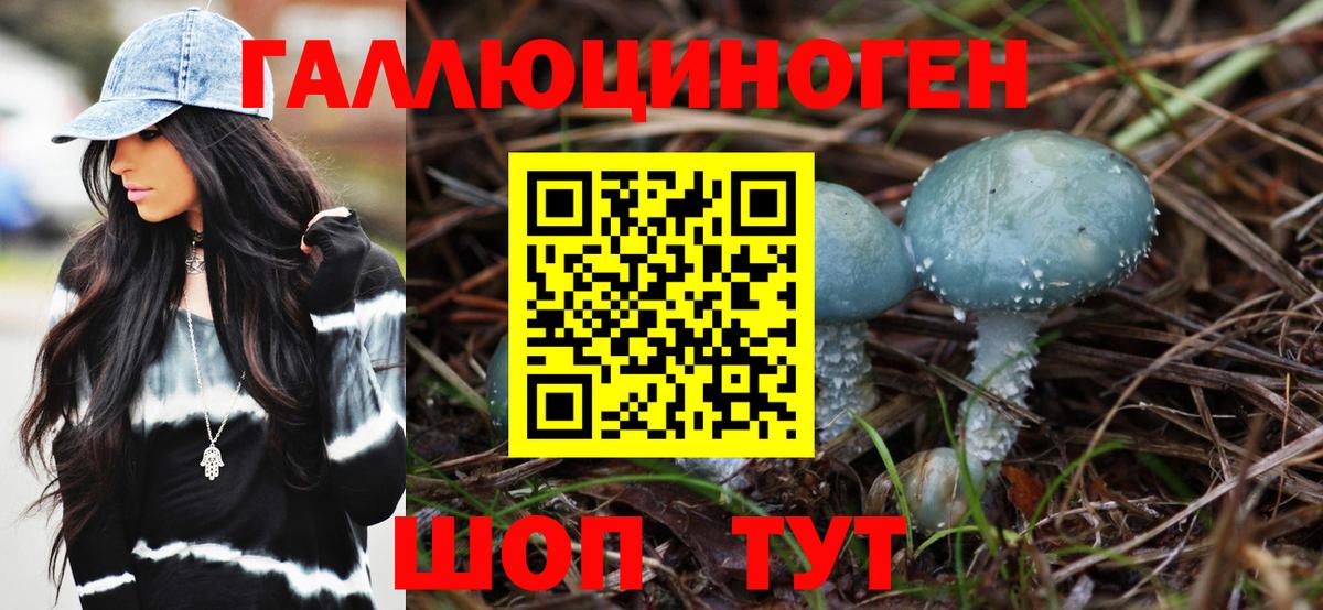 Галлюциногенные грибы мухоморы  Псилоцибиновые грибы GOLDEN TEACHER  Бирск  где купить   Вход с VPN 
